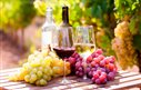 Vendas de vinhos finos, espumantes e suco crescem no início do ano