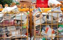 Lei determina que supermercados e shoppings do Rio de Janeiro tenham locais para descarte de embalagens