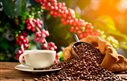Preço do café sobe quase 45% em 2022 e vendas em unidades recuam 4,3%